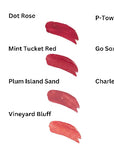 Collection of lipstick swatches with names labeled on a white background