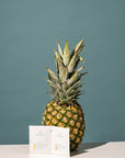 Vaihea pineapple ppeel