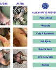 Before and after images of a dog's skin condition with a list of conditions alleviated and prevented by a product.