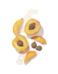 Apricot Kernel Ingredient