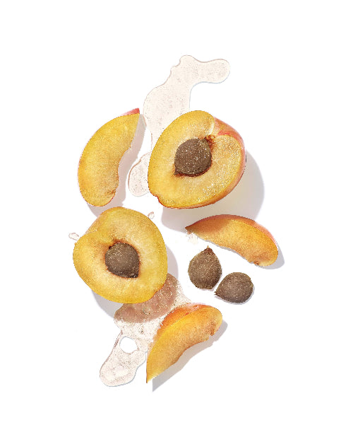 Apricot on white background