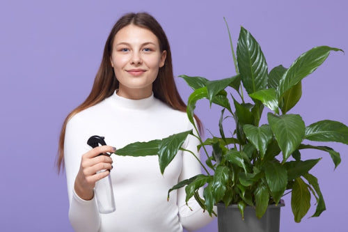 The Growing Popularity of Botanical Ingredients in Professional Hair Care