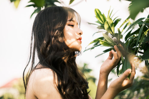 How Botanical Hair Care Supports Long-Term Hair Wellness