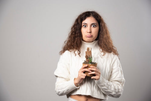 What to Review Before Switching to Botanical Hair Care