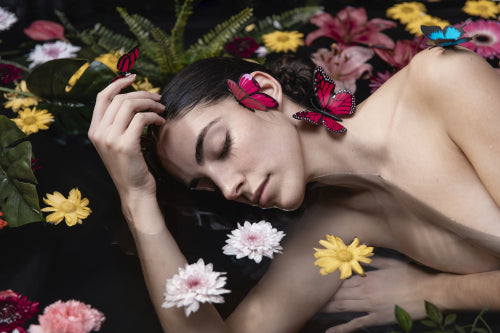 The Enduring Influence of Japanese Botanicals in Modern Hair Care