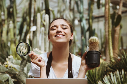 Hair Care Market Projects Steady Growth Driven by Organic Innovations