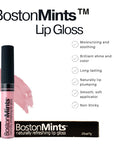 Boston Mints lip gloss with product details on a white background