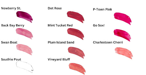 Collection of lipstick swatches with names labeled on a white background