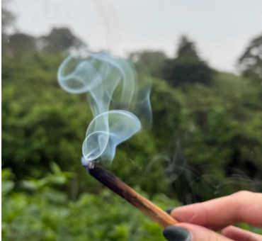 A close-up of a hand holding a lit wooden incense stick with curling white smoke against a blurred green forest background.