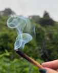 A close-up of a hand holding a lit wooden incense stick with curling white smoke against a blurred green forest background.