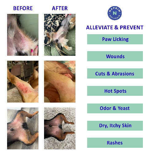 Before and after images of a dog's skin condition with a list of conditions alleviated and prevented by a product.